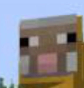 Meet your Posher, King sheep